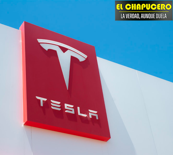 Las acciones de Tesla aumentan tras la promesa de Musk de elevar las ventas en 2025: ¿Qué proyecciones tiene?