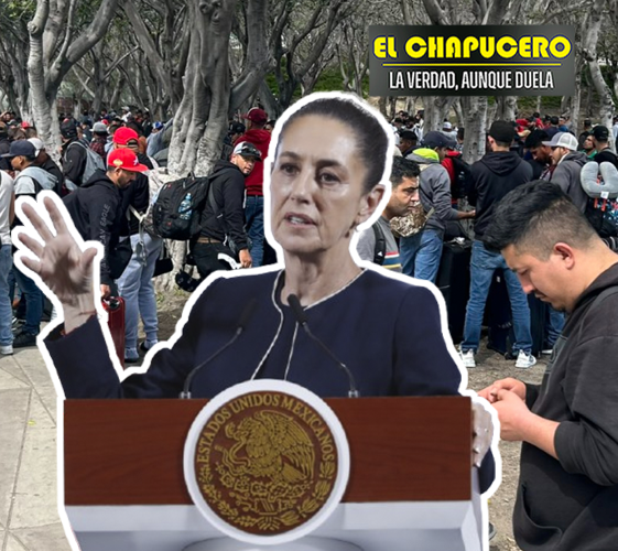 IMAGENES OKOKO - 01 15 03 2025