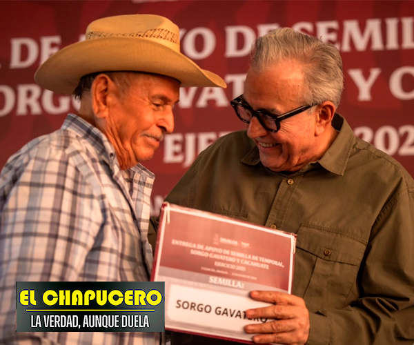 Sinaloa impulsa al campo con entrega de semilla y forraje para más de 7 mil productores