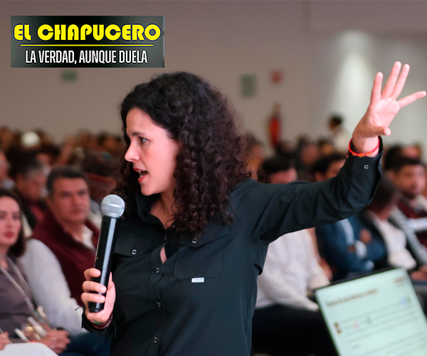 Caso Anaya evidencia la necesidad de reformar la representación plurinominal: Luisa Alcalde