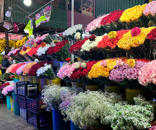 Pedidos de flores se disparan 1,500% en el primer día de primavera.
