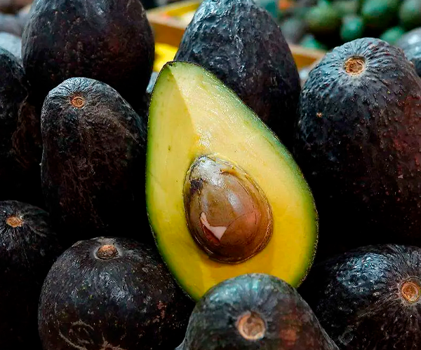 Importaciones de aguacate en EU marcan récord impulsadas por alta demanda