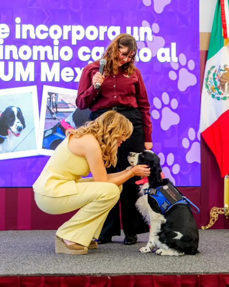 Baja California fortalece apoyo psicológico a niños en CEJUM