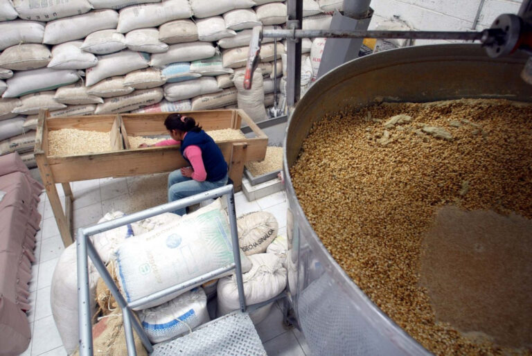 México eleva 6.3% sus compras externas de granos y oleaginosas