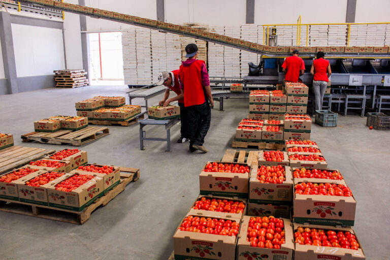 México busca ampliar exportaciones agroalimentarias hacia países árabes