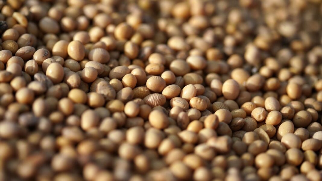 26/10, 22:01:18, 1.png