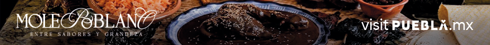 spot_img