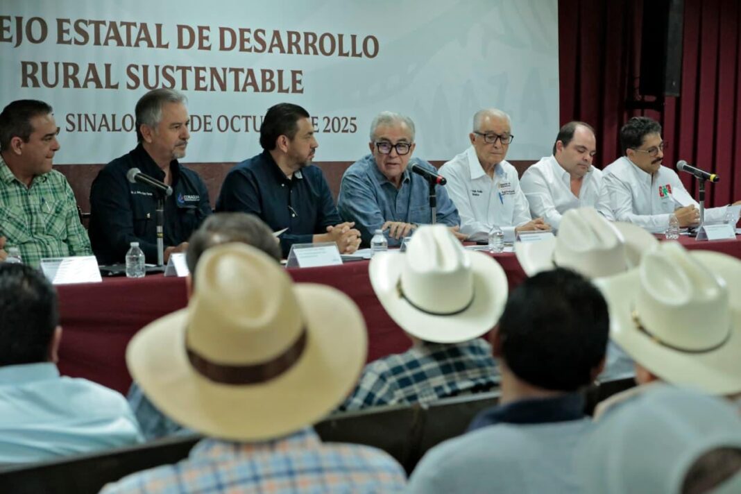 Imagen de WhatsApp 2025-10-09 a las 13.37.01_c99e7b8c