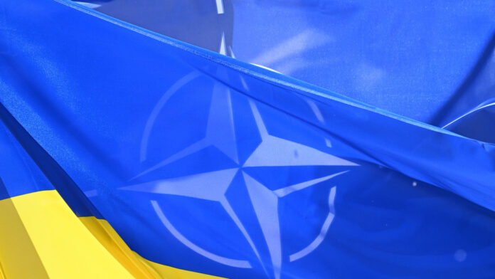 6995a606e9ff7159ce3dad91