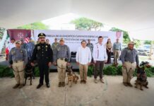 Yucatán integra nuevos binomios caninos para detección de explosivos