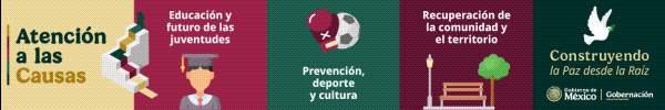 spot_img