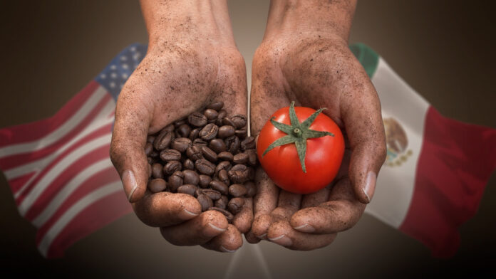 EU_deja_comprar_cafe_tomates_empresas_mexicanas_trabajo_forzoso_jpg