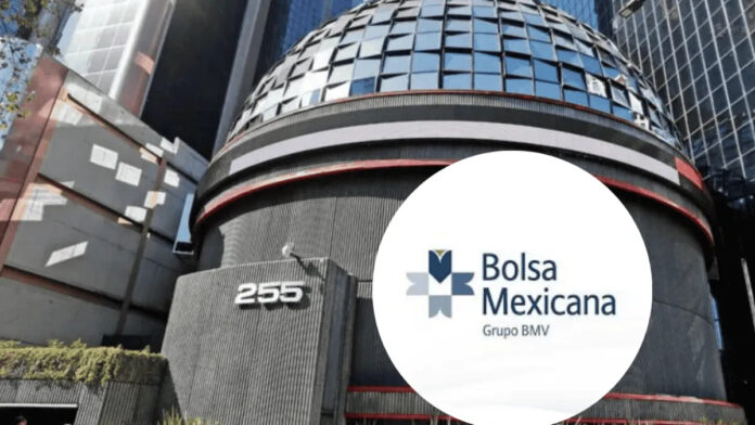 la_bmv_registra_su_mayor_ganancia_desde_el_24_de_septiembre_de_2024_version1738885908245_png_60340613.png